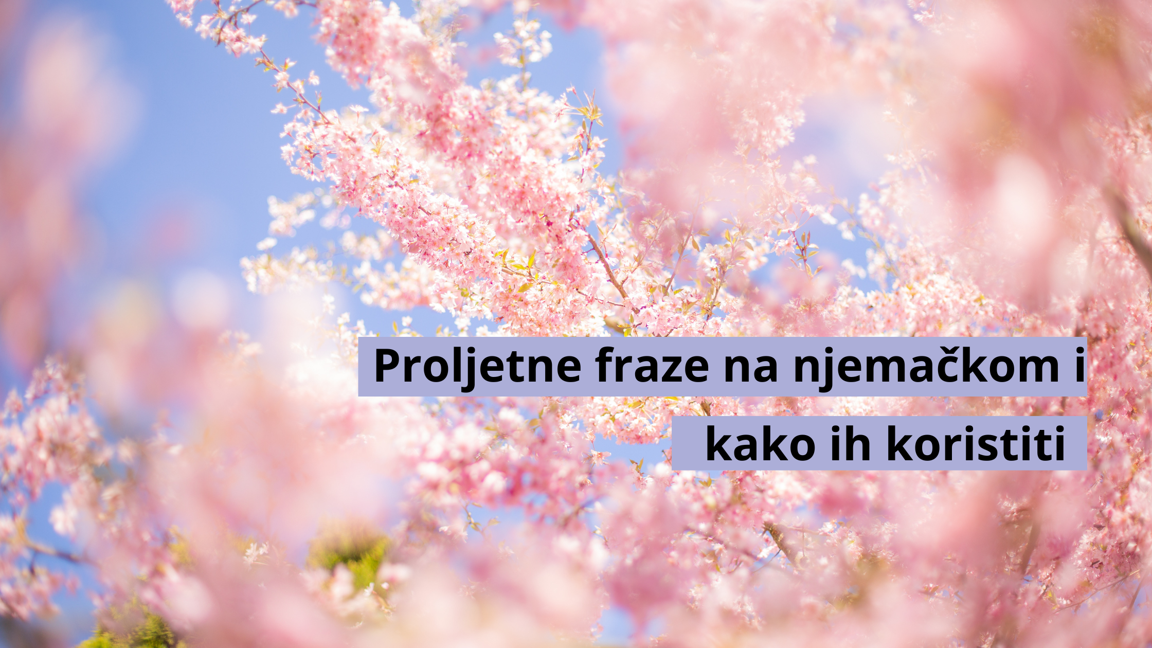 Frazeit Proljetne fraze na njemačkom jeziku i kako ih koristiti